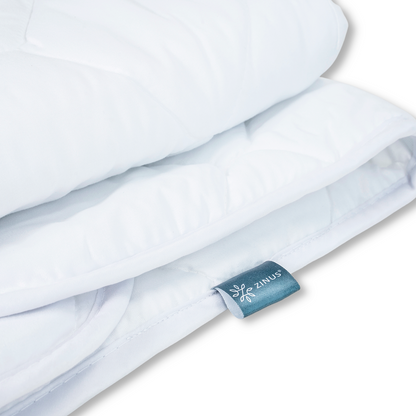 Zinus Mattress Protector (4 Straps)